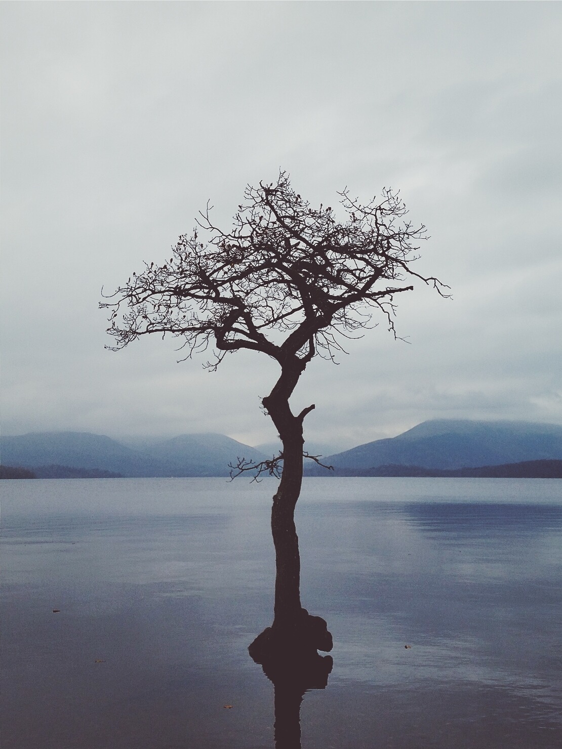 Archillect ID 76903