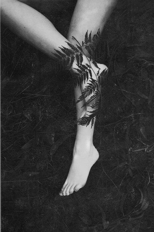 Archillect ID 77013