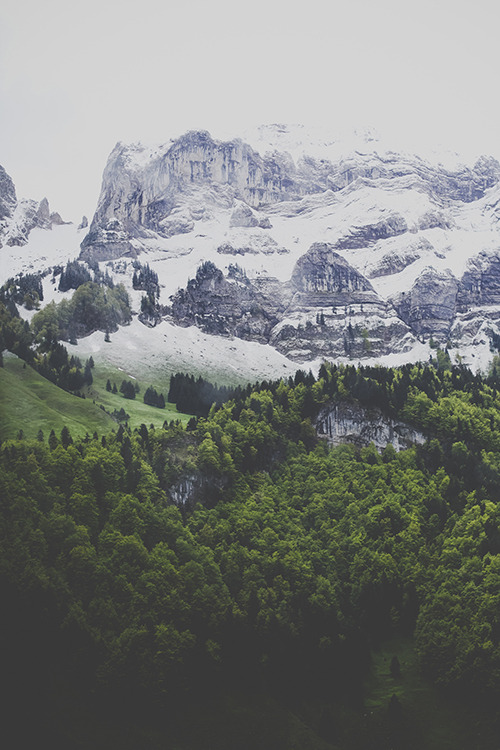 Archillect ID 77019