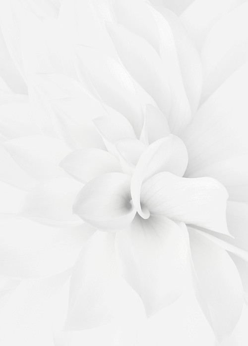 Archillect ID 77029