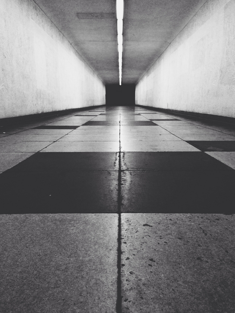 Archillect ID 77055