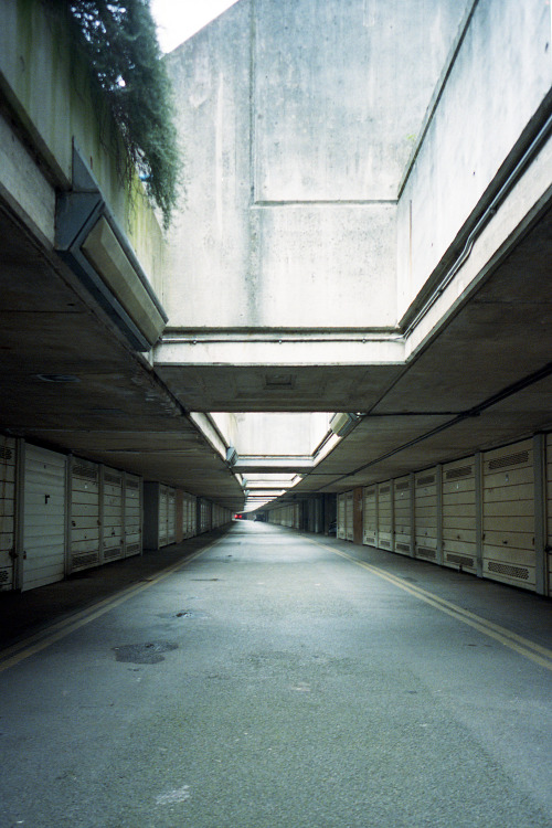 Archillect ID 77056