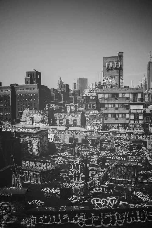 Archillect ID 77059
