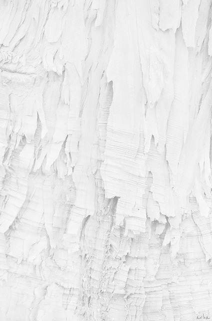 Archillect ID 77229