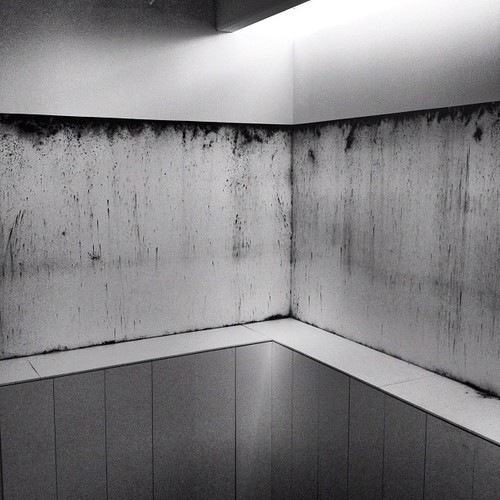 Archillect ID 77240