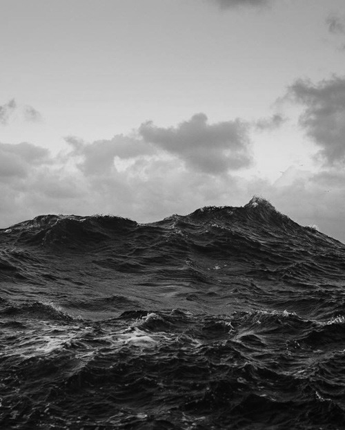 Archillect ID 77298