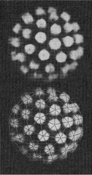 Archillect ID 77304