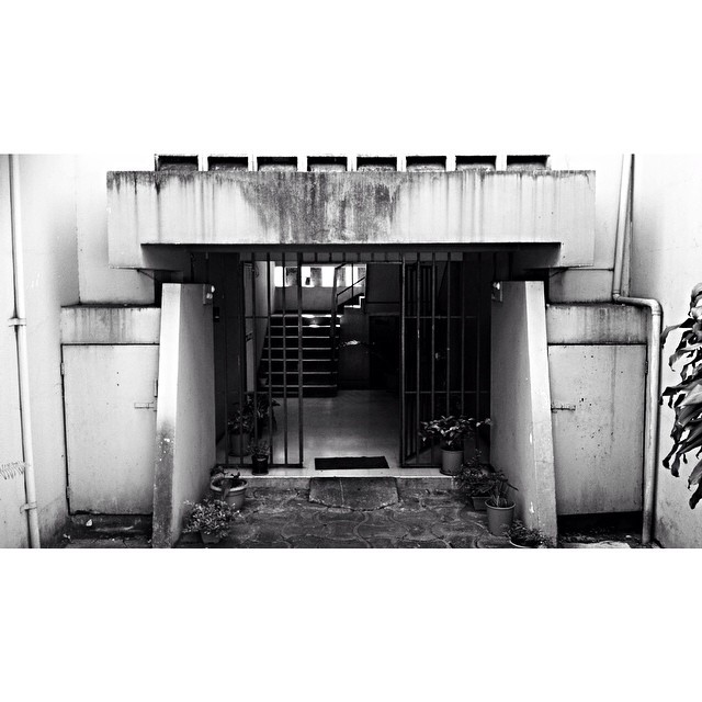 Archillect ID 77355