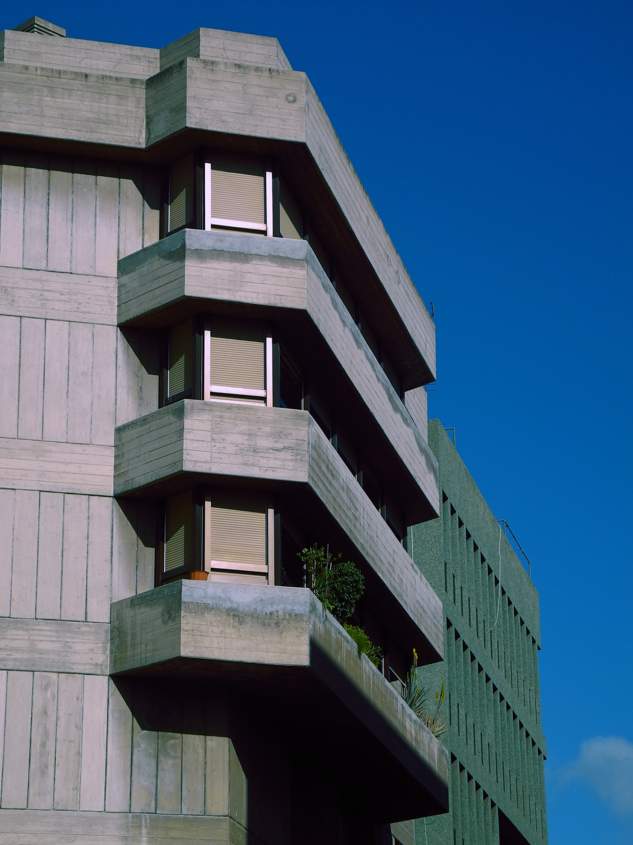 Archillect ID 77387