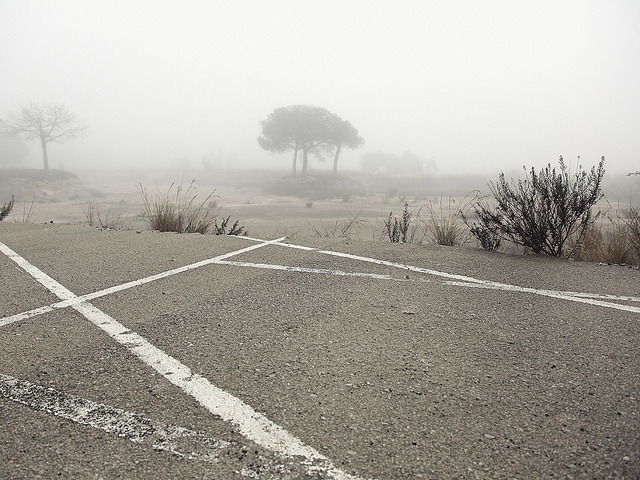 Archillect ID 77493