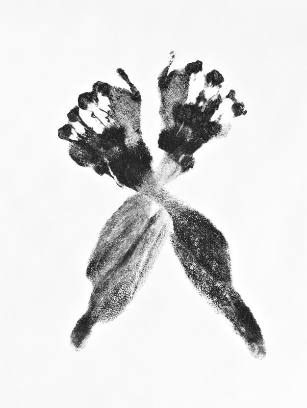 Archillect ID 77511