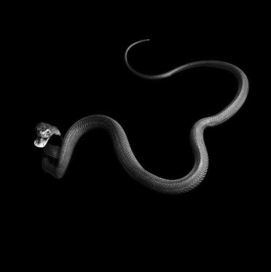 Archillect ID 77523