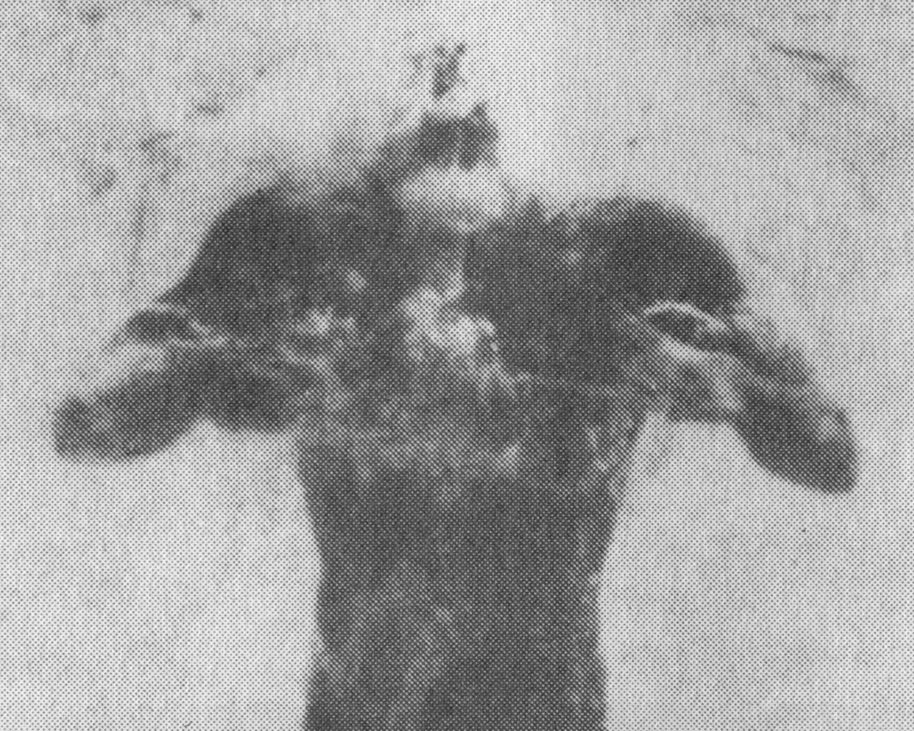 Archillect ID 77527