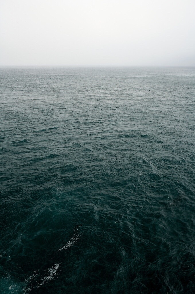 Archillect ID 77528