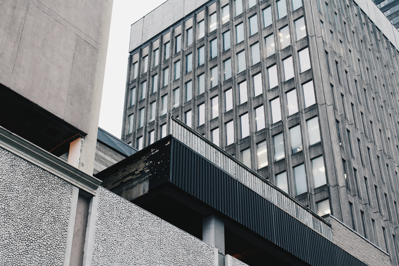 Archillect ID 77566