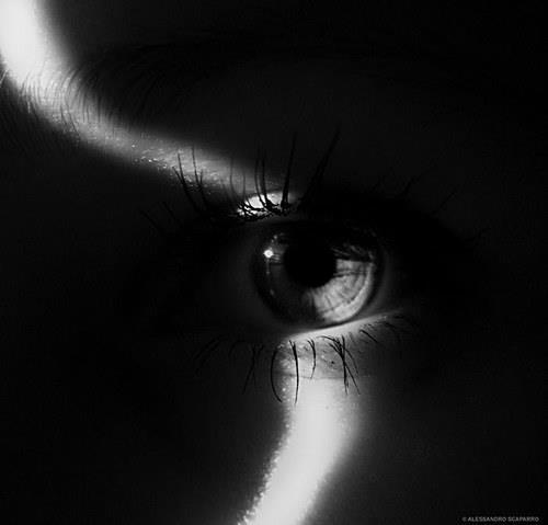 Archillect ID 77686