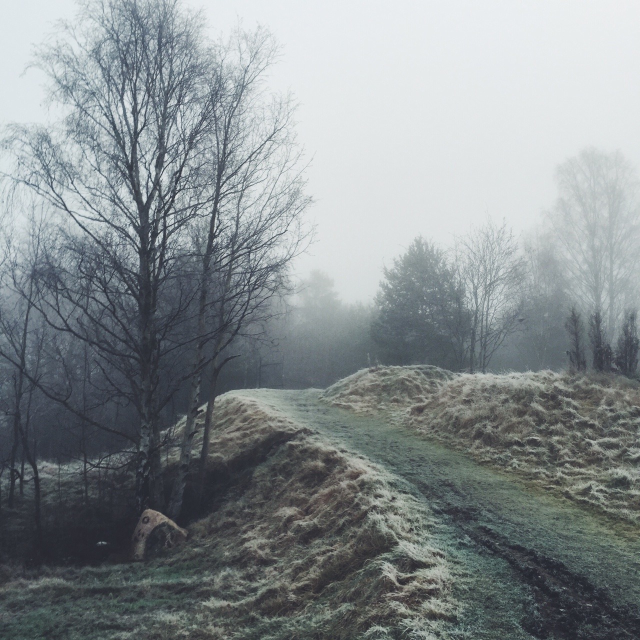 Archillect ID 77719