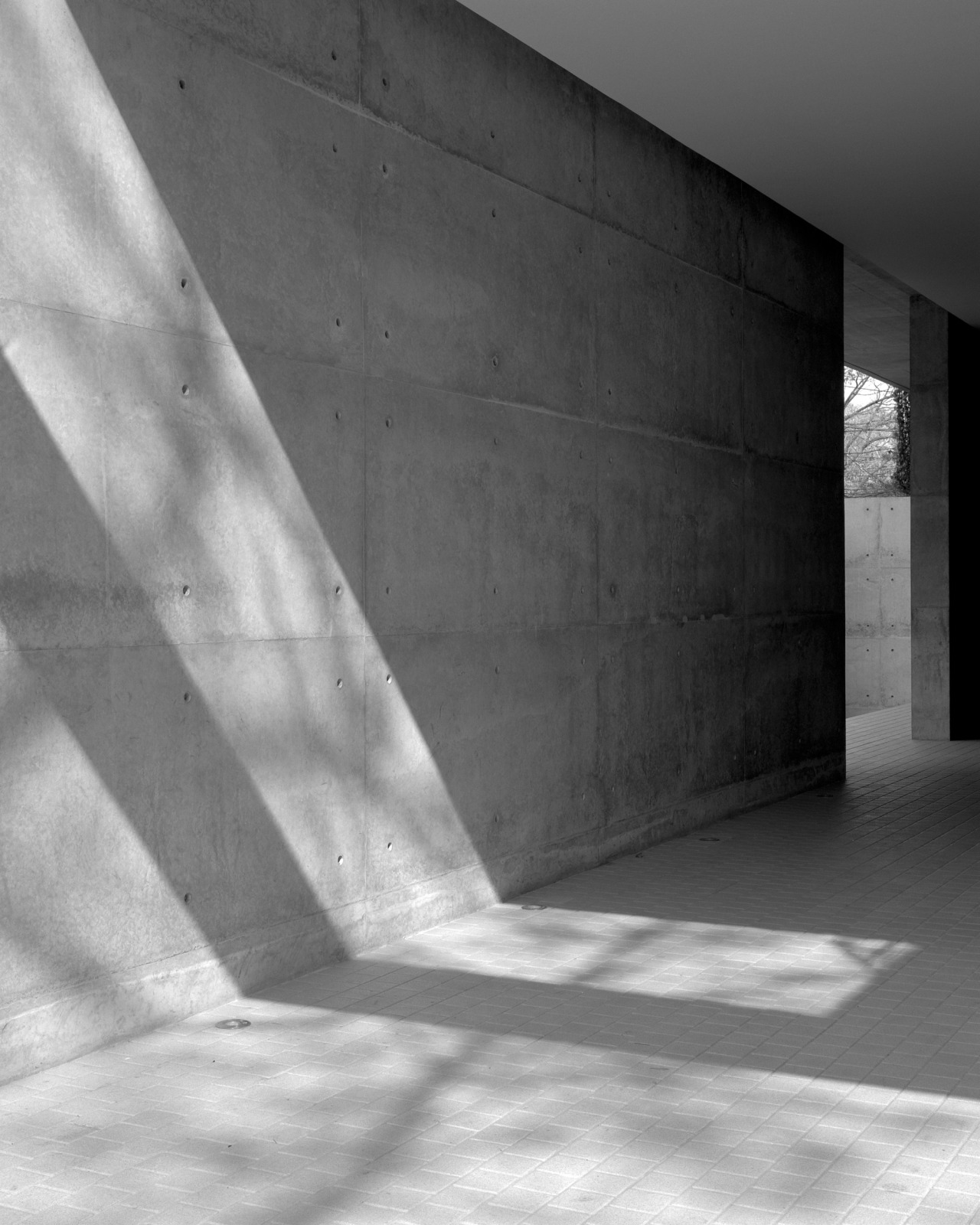 Archillect ID 77740