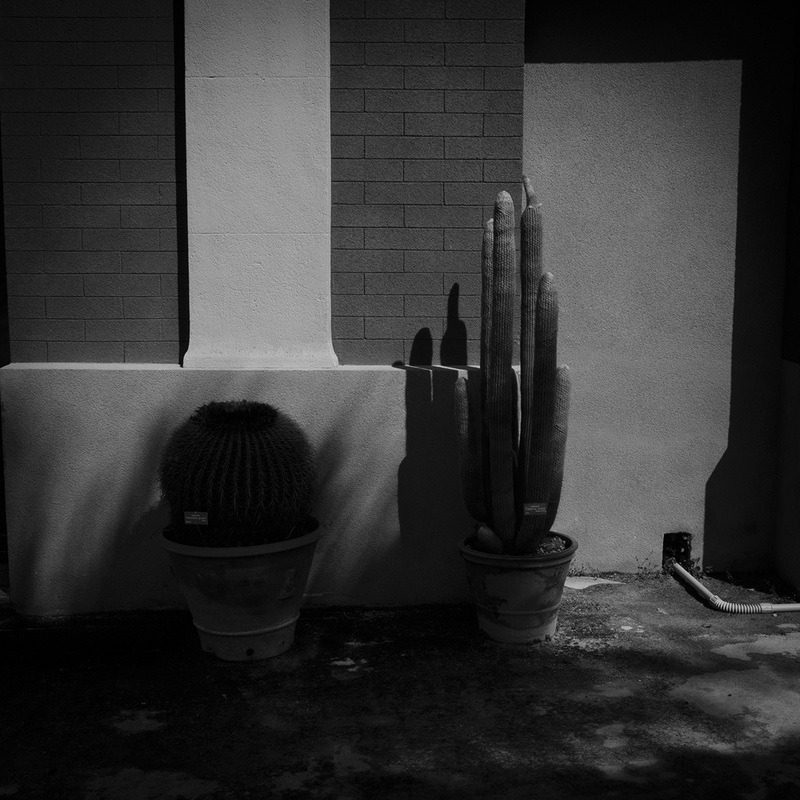 Archillect ID 77749