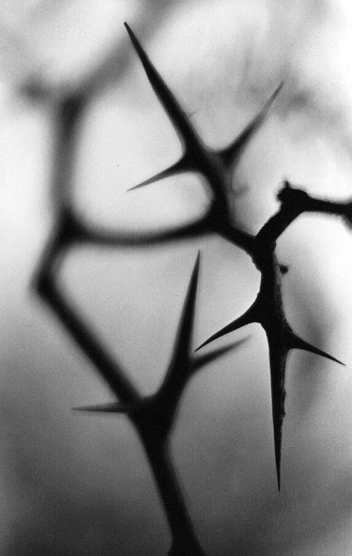 Archillect ID 77760