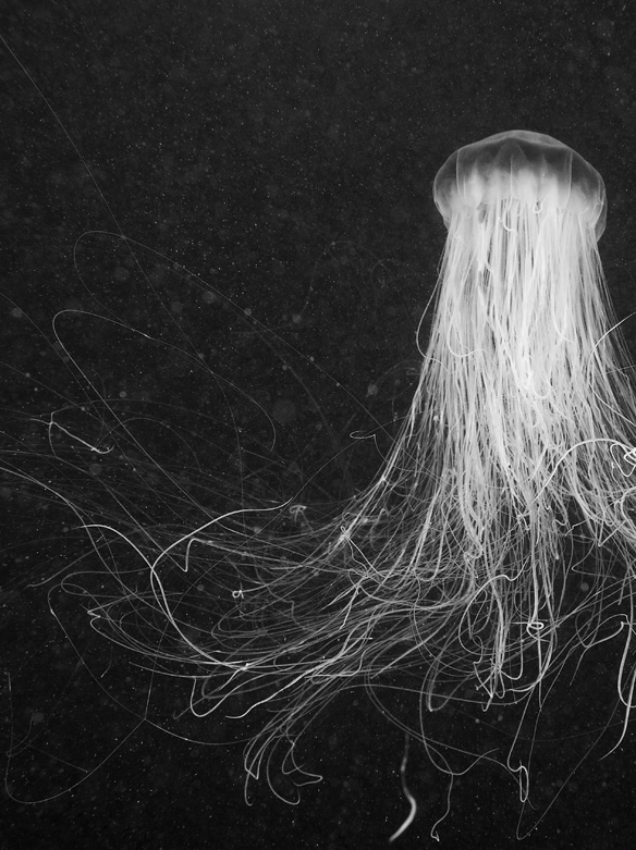Archillect ID 77811