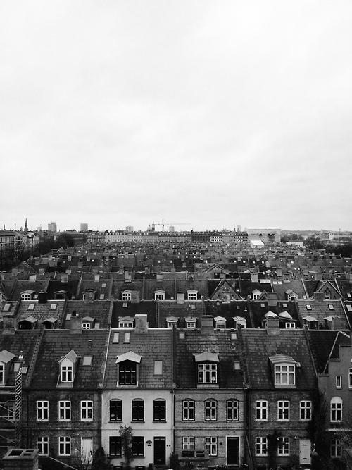 Archillect ID 77814