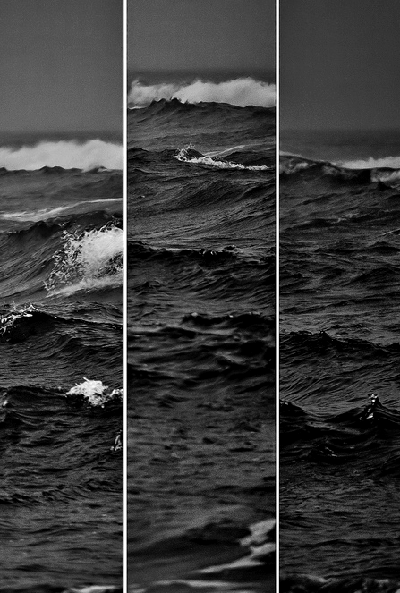 Archillect ID 77826