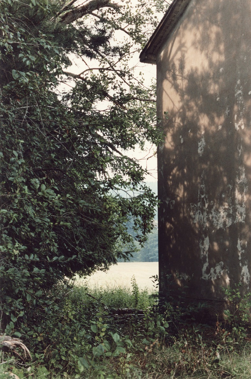 Archillect ID 77847