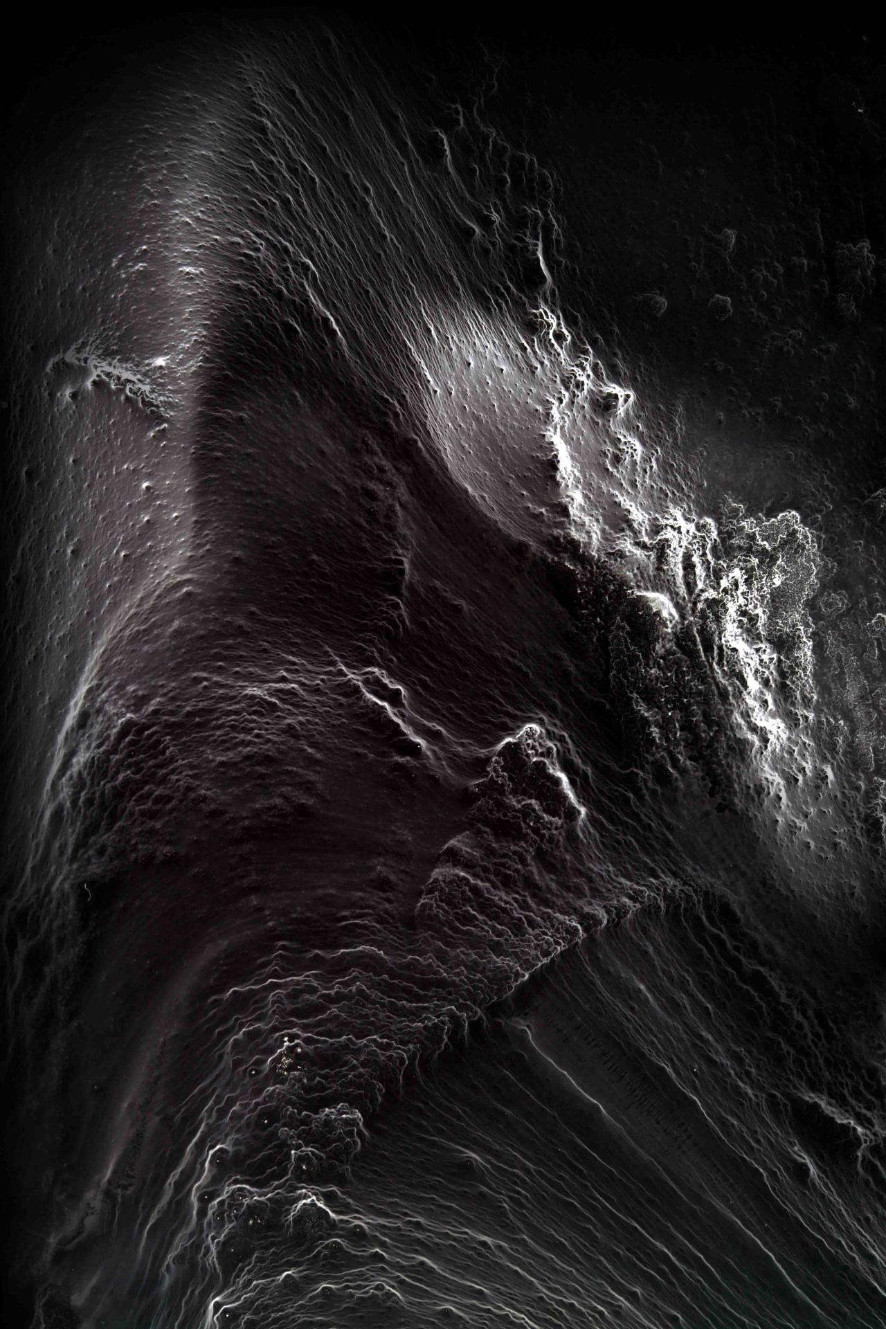Archillect ID 77879