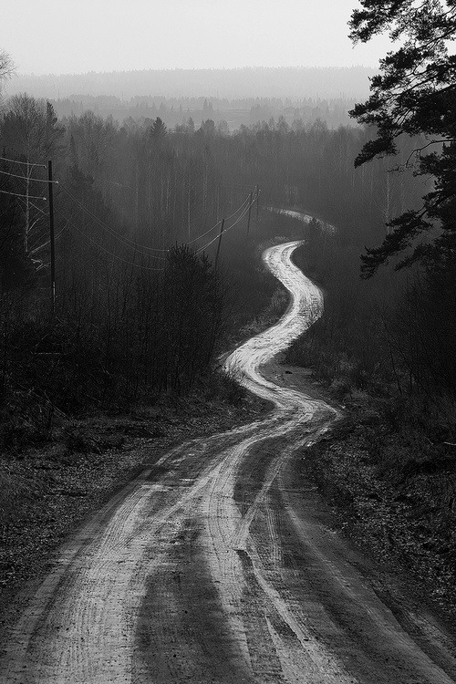 Archillect ID 77900
