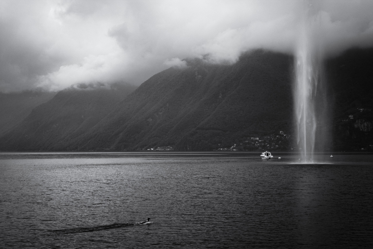 Archillect ID 77949