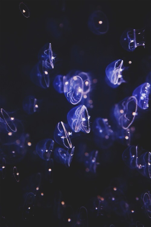 Archillect ID 77969