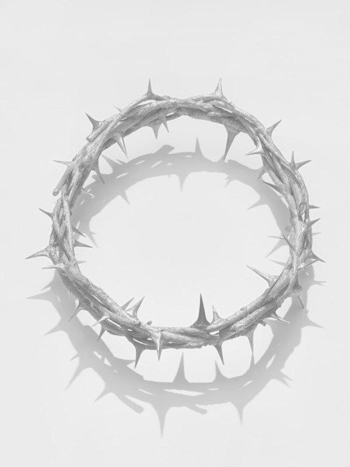 Archillect ID 77976