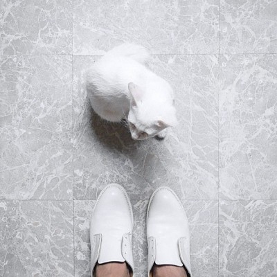 Archillect ID 78003