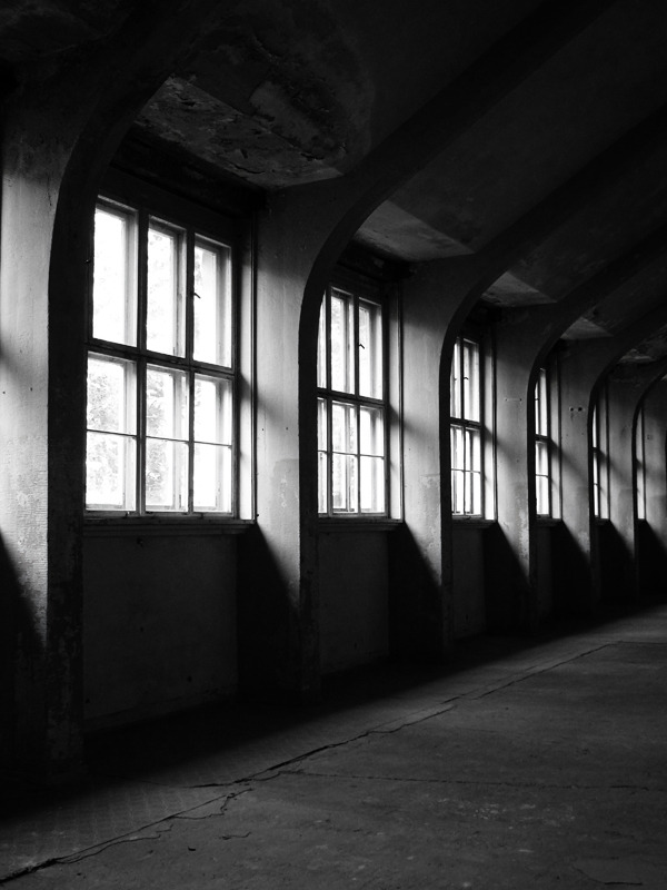 Archillect ID 78020