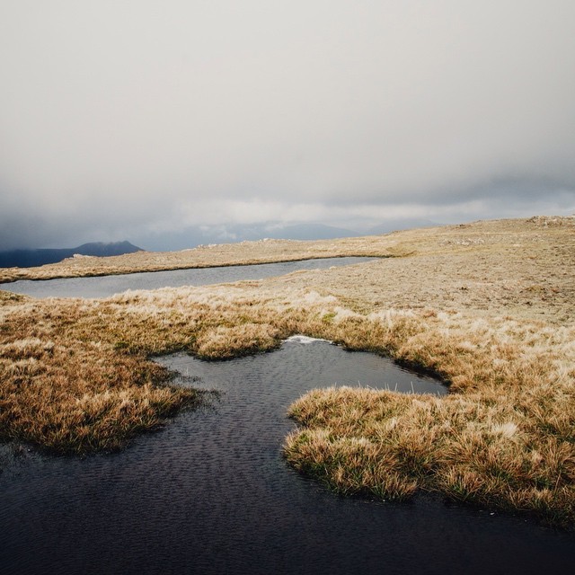 Archillect ID 78054