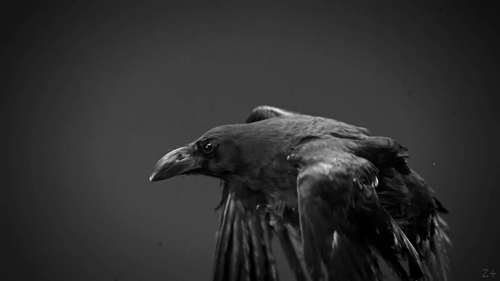 Archillect ID 78058