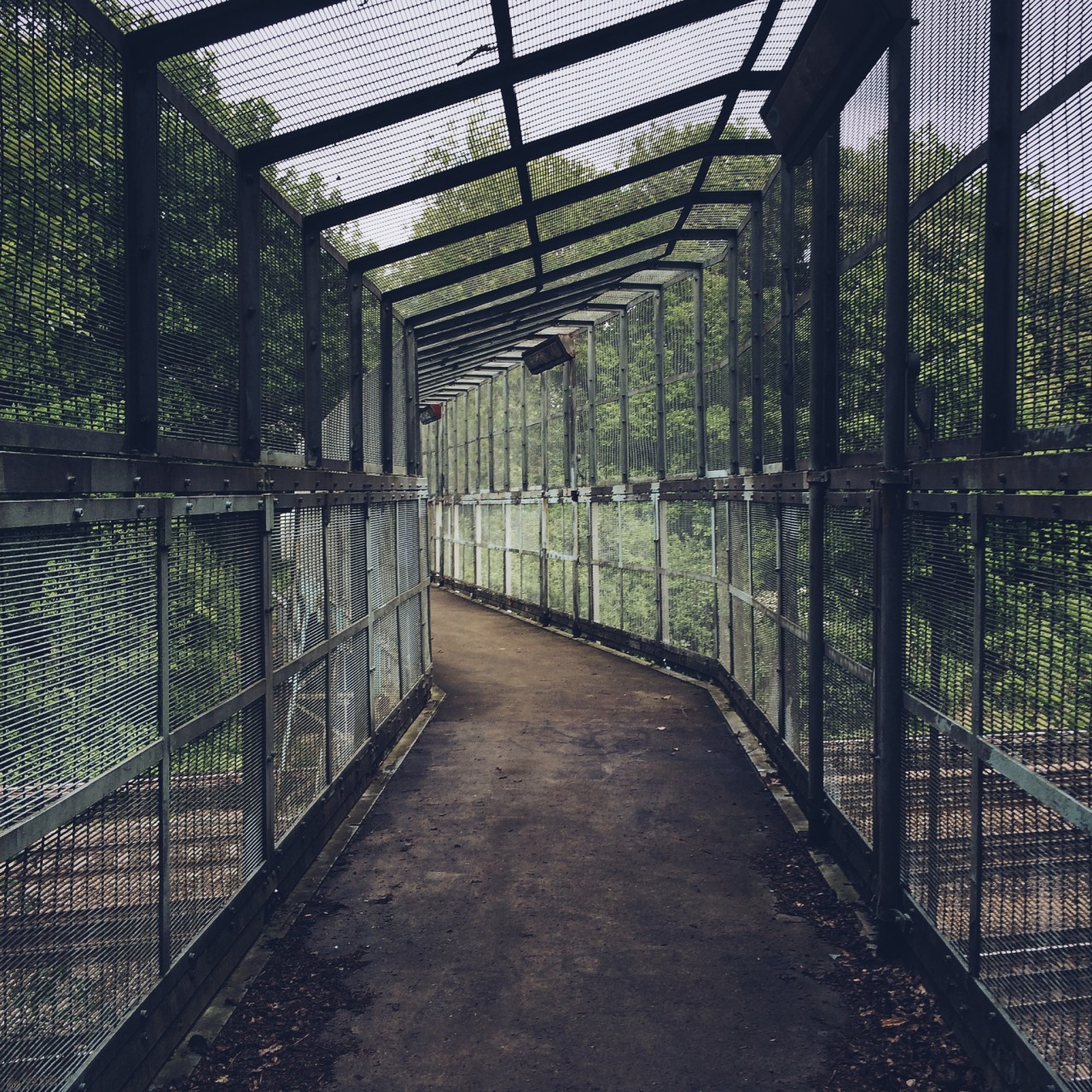 Archillect ID 78149