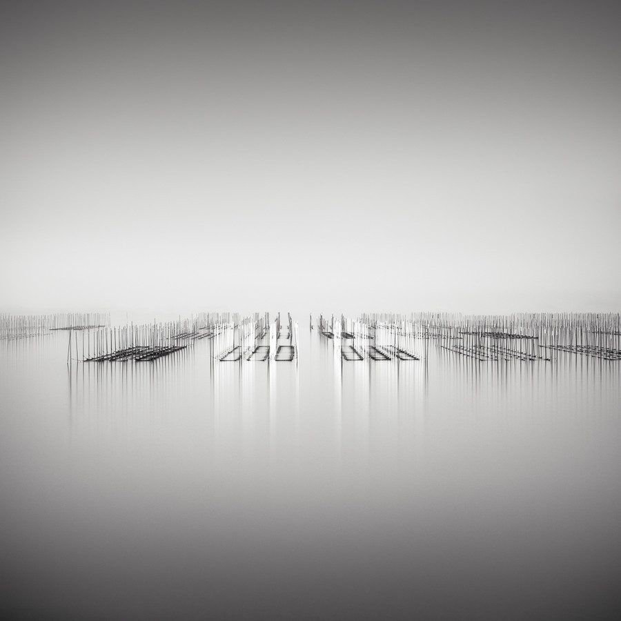 Archillect ID 78206