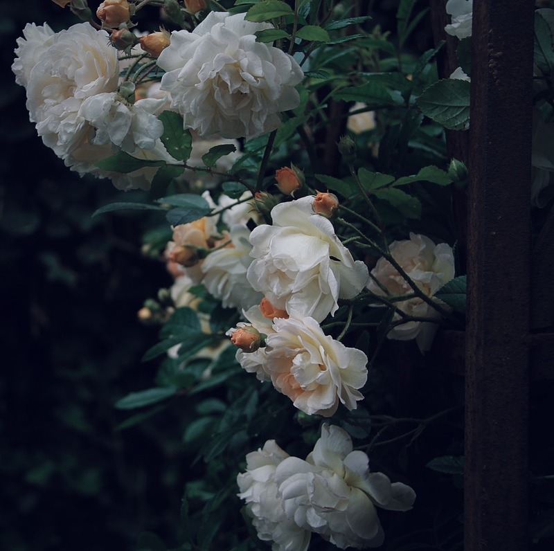 Archillect ID 78214