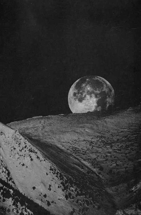 Archillect ID 78258