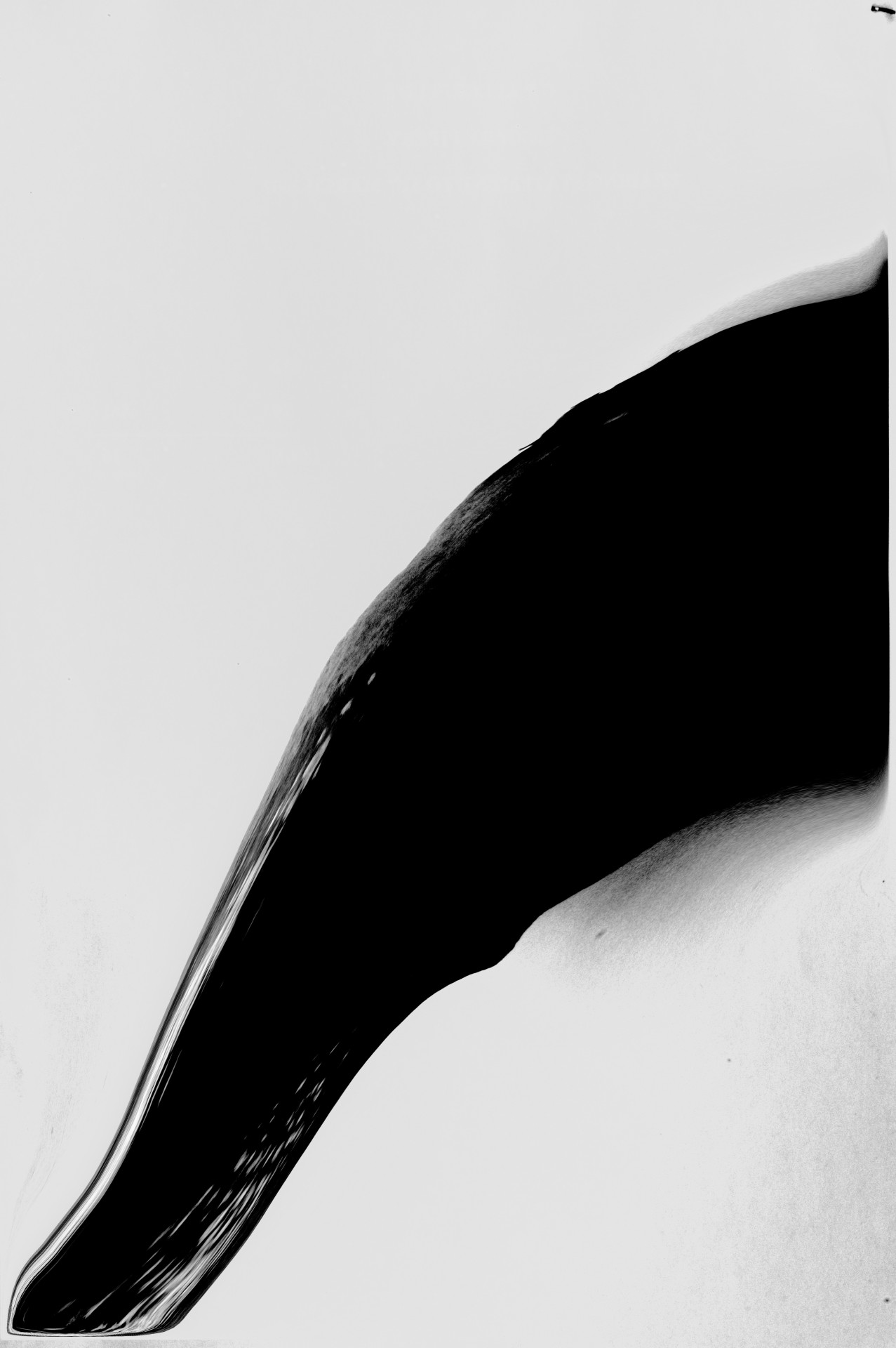 Archillect ID 78267