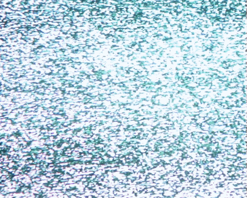 Archillect ID 78271