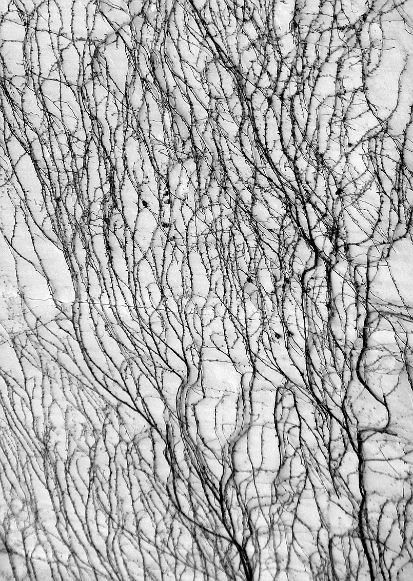 Archillect ID 78352