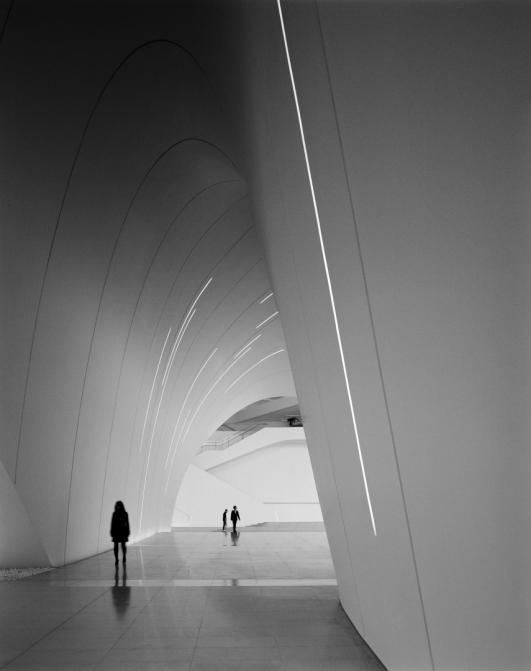 Archillect ID 78437