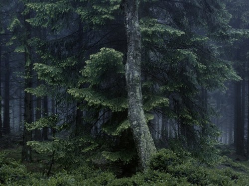 Archillect ID 78585