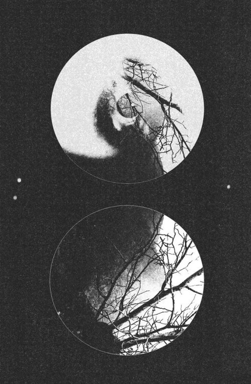 Archillect ID 78693