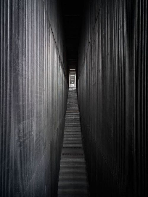 Archillect ID 78695