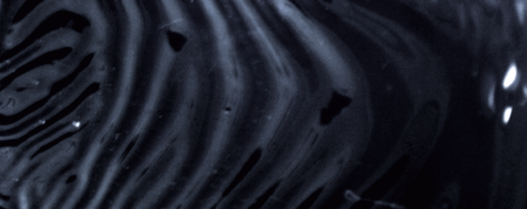 Archillect ID 78826