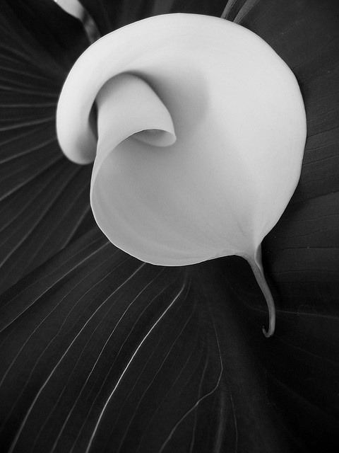 Archillect ID 78828